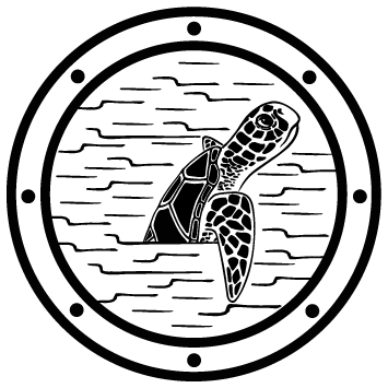 Sticker hublot tortue